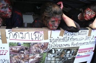 The Bloody War for Southern Thailand