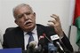 Palestinian Security Concerns