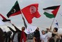 The Arab Uprisings
