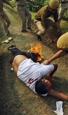 Does Self-Immolation Really Work?