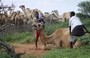 Tracking Terrorists In Africa