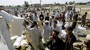Refugees Flee Heavy Fighting in South Waziristan