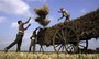 Can The World Sustain Seven Billion People?