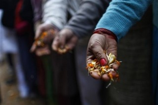 New Green Revolution Will Feed the World