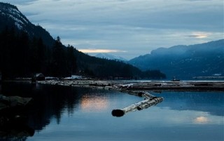 Canada: Hong Kong of the Cold North