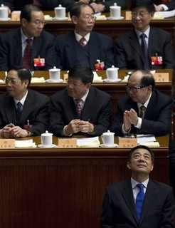 'Zhongnanhaiology'