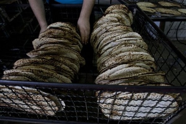 In Egypt, the Horror and the Pita