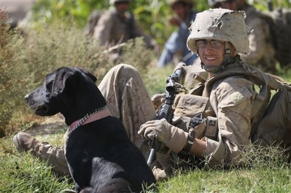 The Last Afghan Offensive?