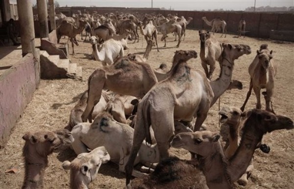 Time for the U.S. to Arm South Sudan