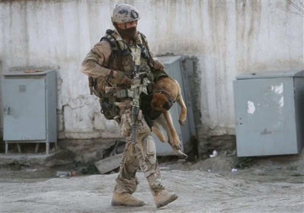 To Survive, NATO Must Globalize