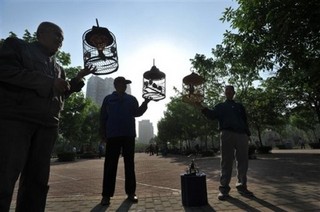 China's Demographic Crunch