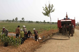 Letting North Korea Starve