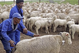 Africa Must Ditch DC Consensus to Grow