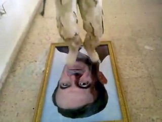 Syria Has No Future with Assad