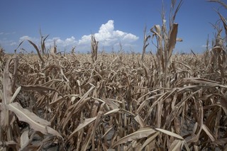 Our Summer of Climate Truth