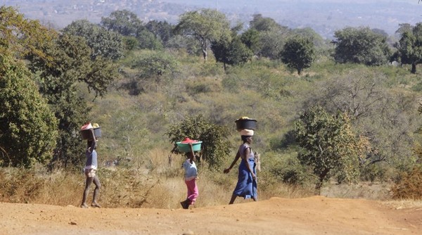The Slow-Motion Crisis of Africa's Sahel Belt