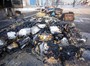 Afghan Suicide Attacks