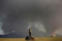 The Role of Transparency in Resource Markets