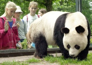 Berlin's Cozy New Ties to China
