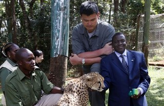 The New Scramble for Africa