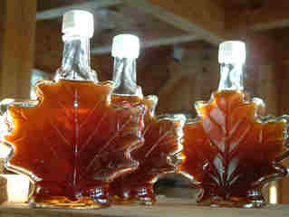 Quebec Taps Strategic Stockpile of Maple Syrup
