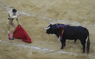 Nationalism the Way Forward for Spain