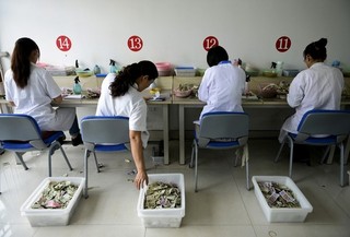 Chinese Capitalism May Destroy China