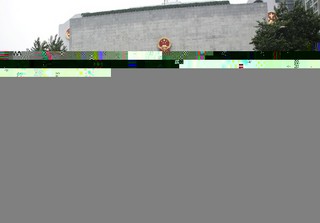 Courts with Chinese Characteristics