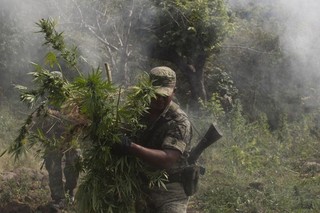 Hit Mexico's Drug Cartels with Legalization