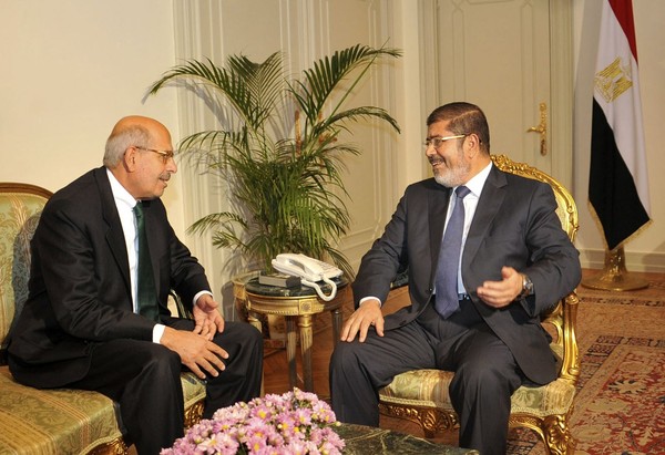 The Brotherhood's Egypt