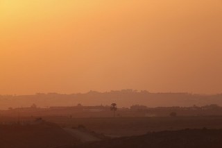 True Residents of Sderot Were Displaced