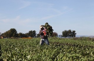 China Grabbing World's Farmland