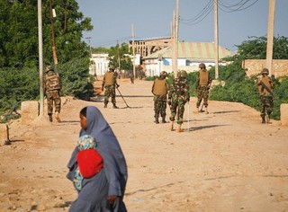 Al-Qaeda's Potent Idea