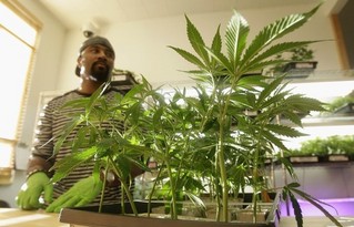 Three Strikes Against the Drug War