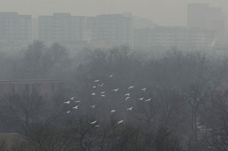 China's Airpocalypse