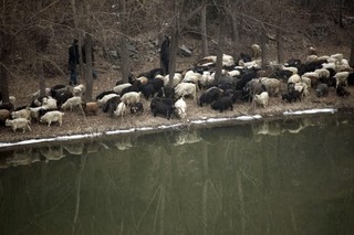 China's Water Pollution Crisis