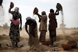 Want to Fight Terrorism? Educate Women