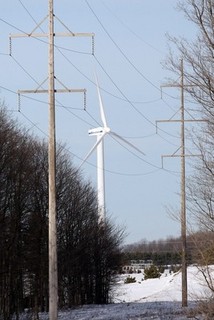 The Blight of Green Power in Canada