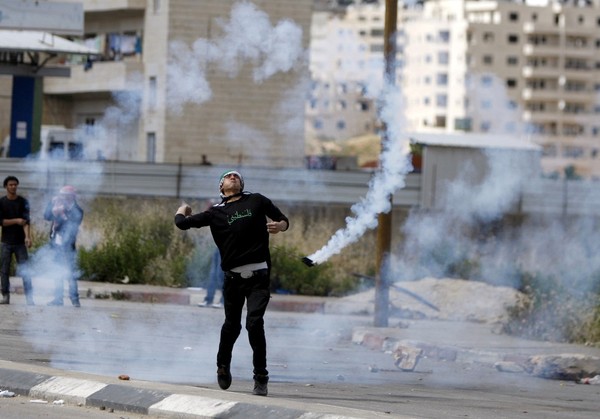 The Elephant in the West Bank