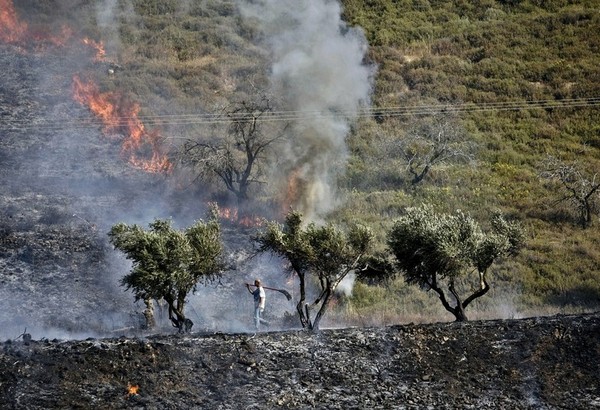 Europe, Slap a Label on Settlement Goods