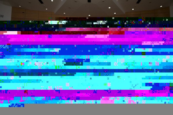 Europe Must Protect Itself from America