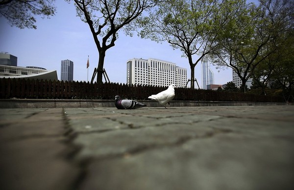 China's Maoist Vision: A City of 260 Million People