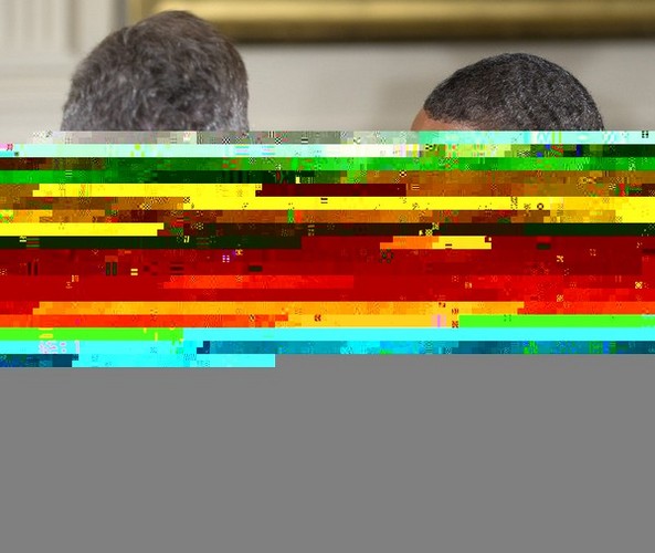 Obama's Authoritarians