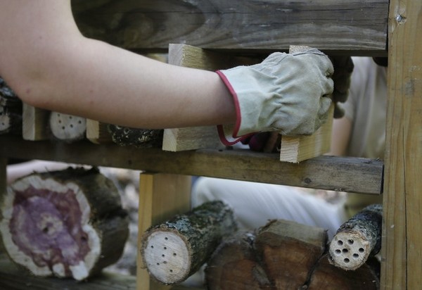 The Arab World's Crazy Conspiracy Theories