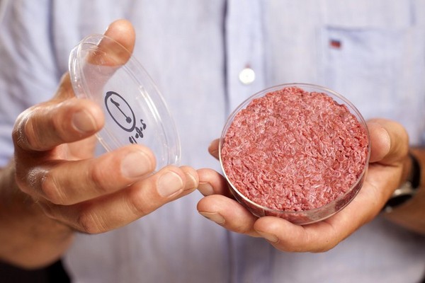 The World's Most Important Hamburger