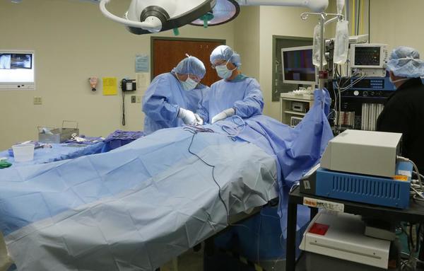 Western Health Care Is Stuck in Sickbay