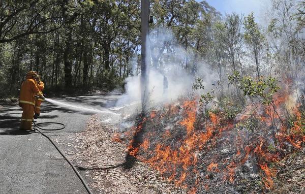 Will Wildfires Burn Abbott's Climate Policies?