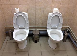 A User's Guide to the Bizarre Toilets of Sochi