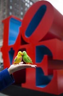 The Countries That Feel the Most Love