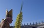 Pope 'Not Intimidated' by Sex Scandal 'Gossip'